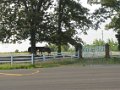 2010-06_24 Horses